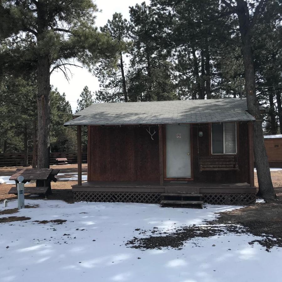 Grandview Cabins & Rv Resort South Fork Exterior photo